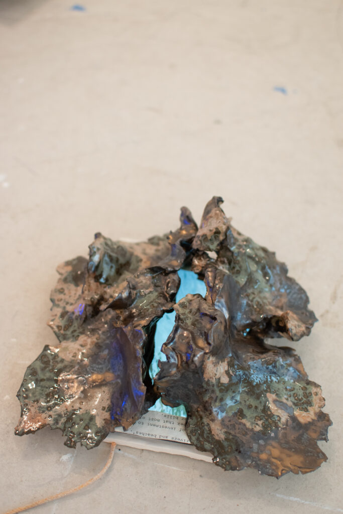 Clay shaped roughly with a textured finish. It looks a bit like lungs with shiny water visible in-between them.